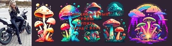 амф Лихославль
