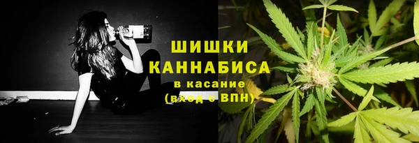 ECSTASY Магадан