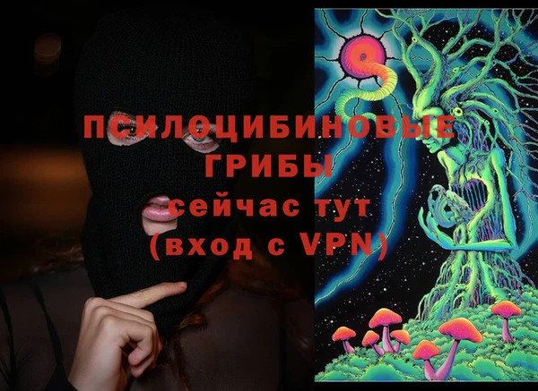 дурь Майский