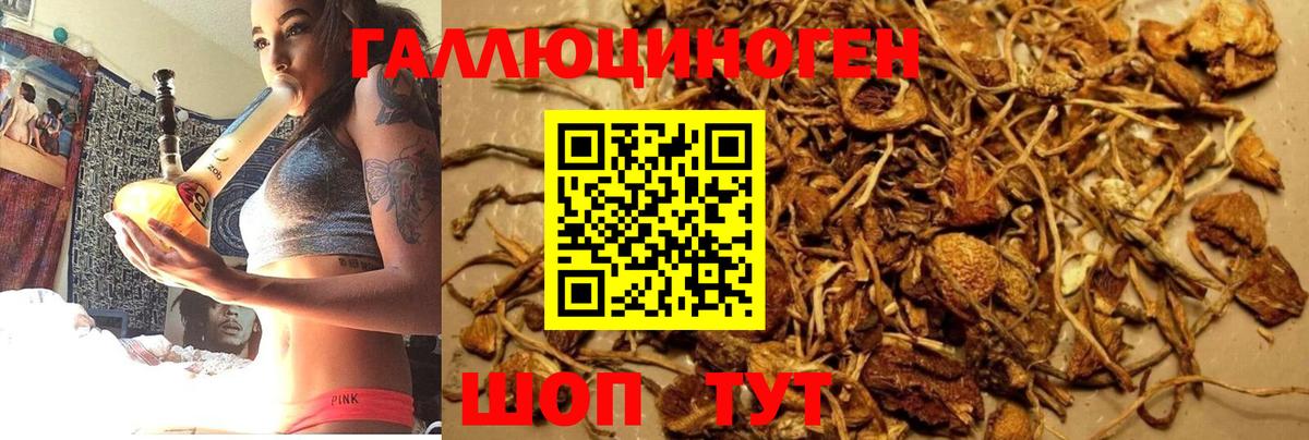 Псилоцибиновые грибы Magic Shrooms  Галлюциногенные грибы GOLDEN TEACHER  Борисоглебск  Вход с VPN 