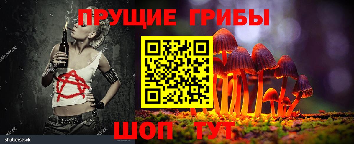 Псилоцибиновые грибы Psilocybe Борисоглебск